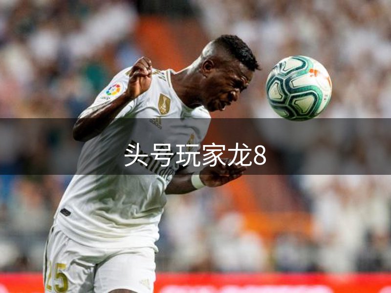 公司介绍